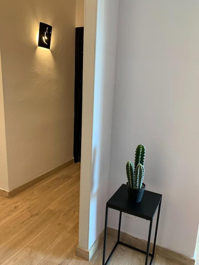 Beau T4 100M2 Palais Des Rois De Majorque Apartment Перпинян Екстериор снимка