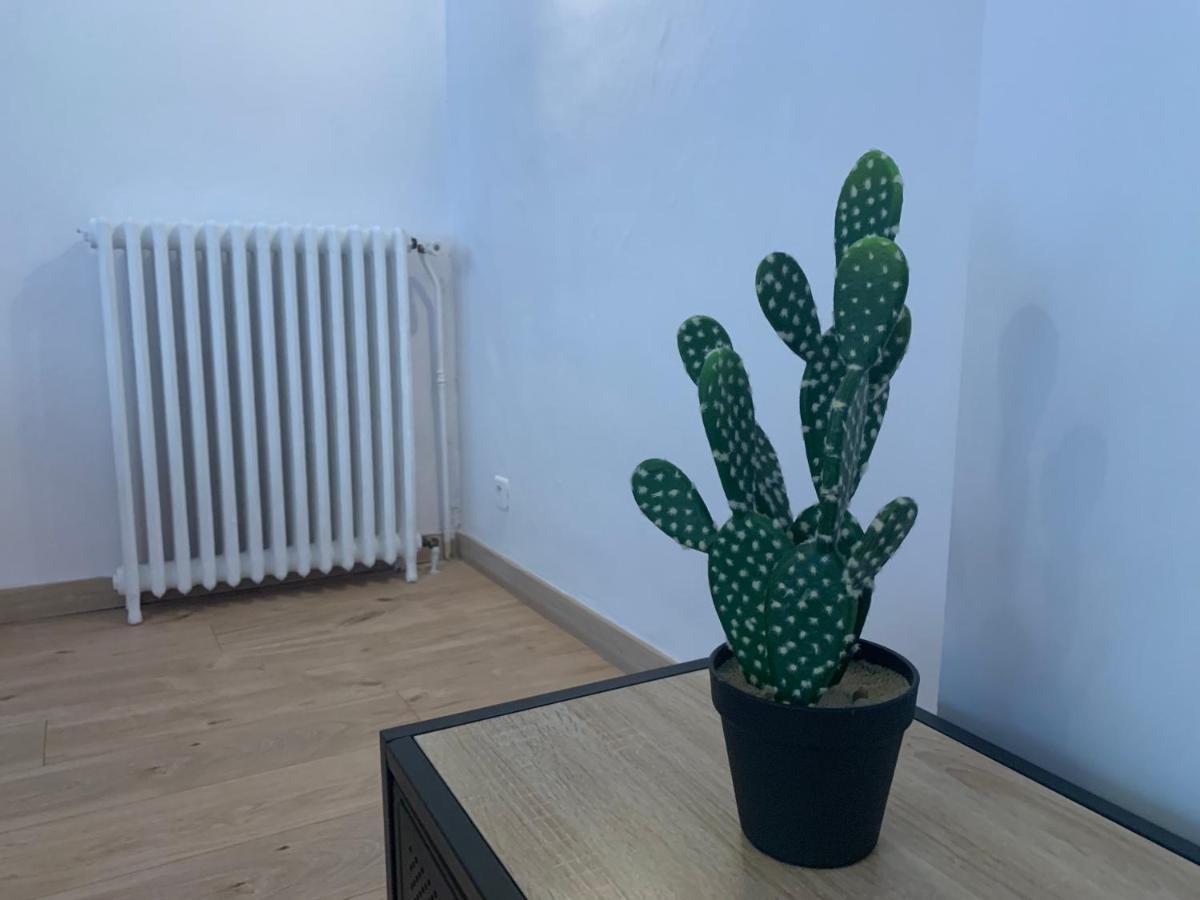 Beau T4 100M2 Palais Des Rois De Majorque Apartment Перпинян Екстериор снимка