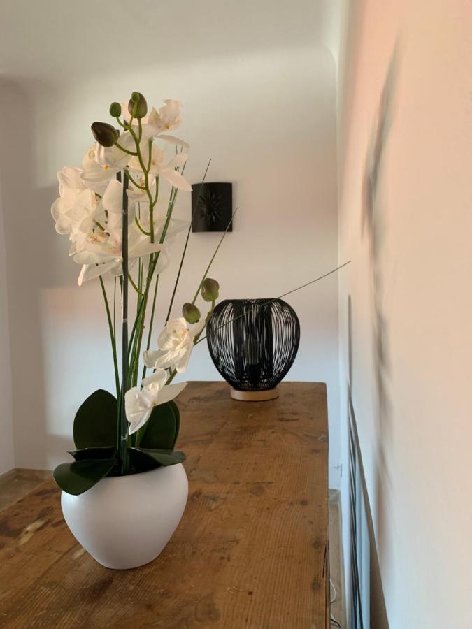 Beau T4 100M2 Palais Des Rois De Majorque Apartment Перпинян Екстериор снимка