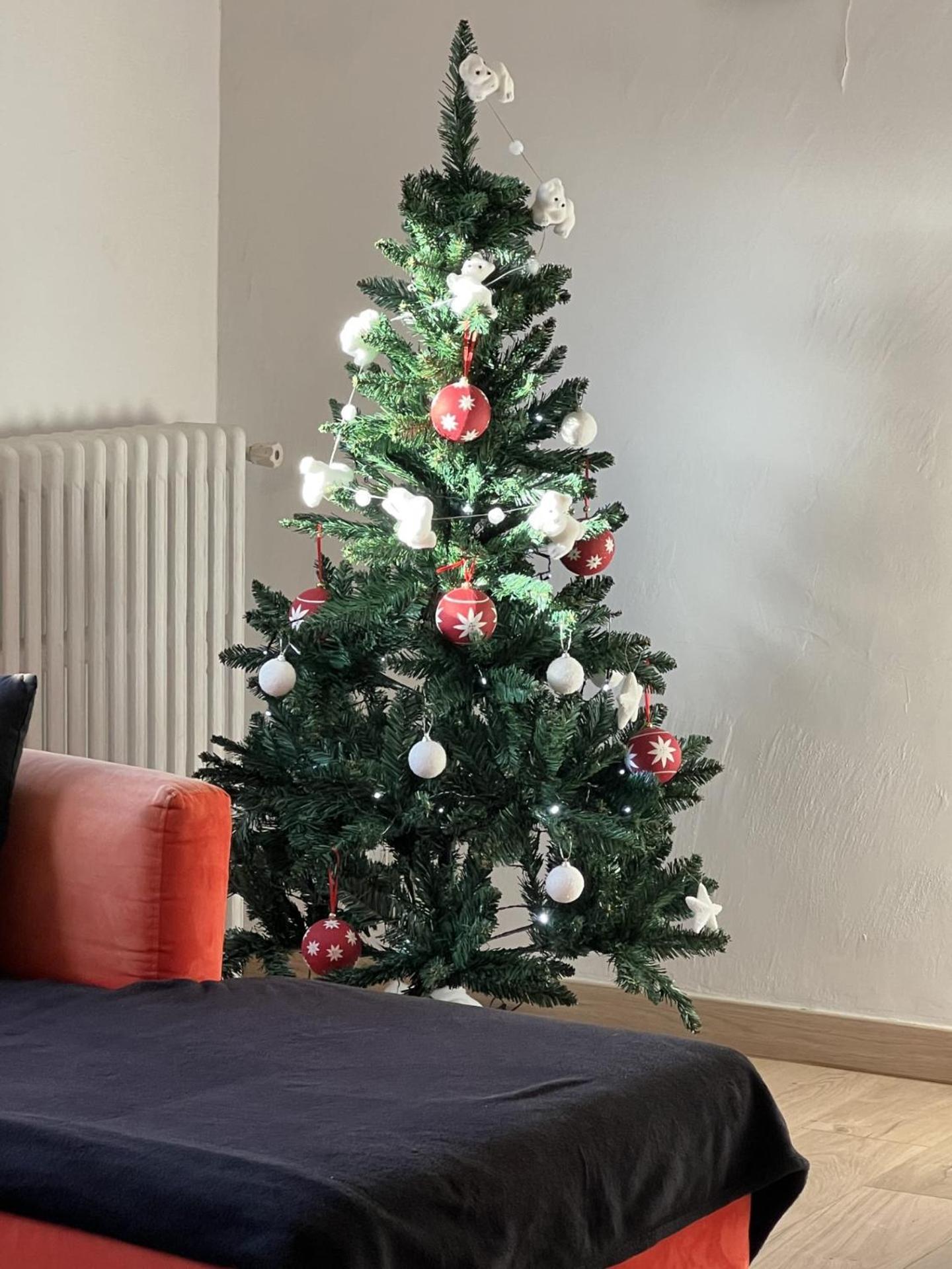 Beau T4 100M2 Palais Des Rois De Majorque Apartment Перпинян Екстериор снимка